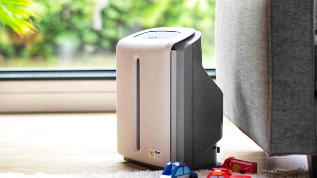 Few natural ways to purify the air at your home