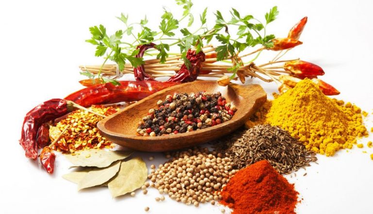 spices manufacturers in india